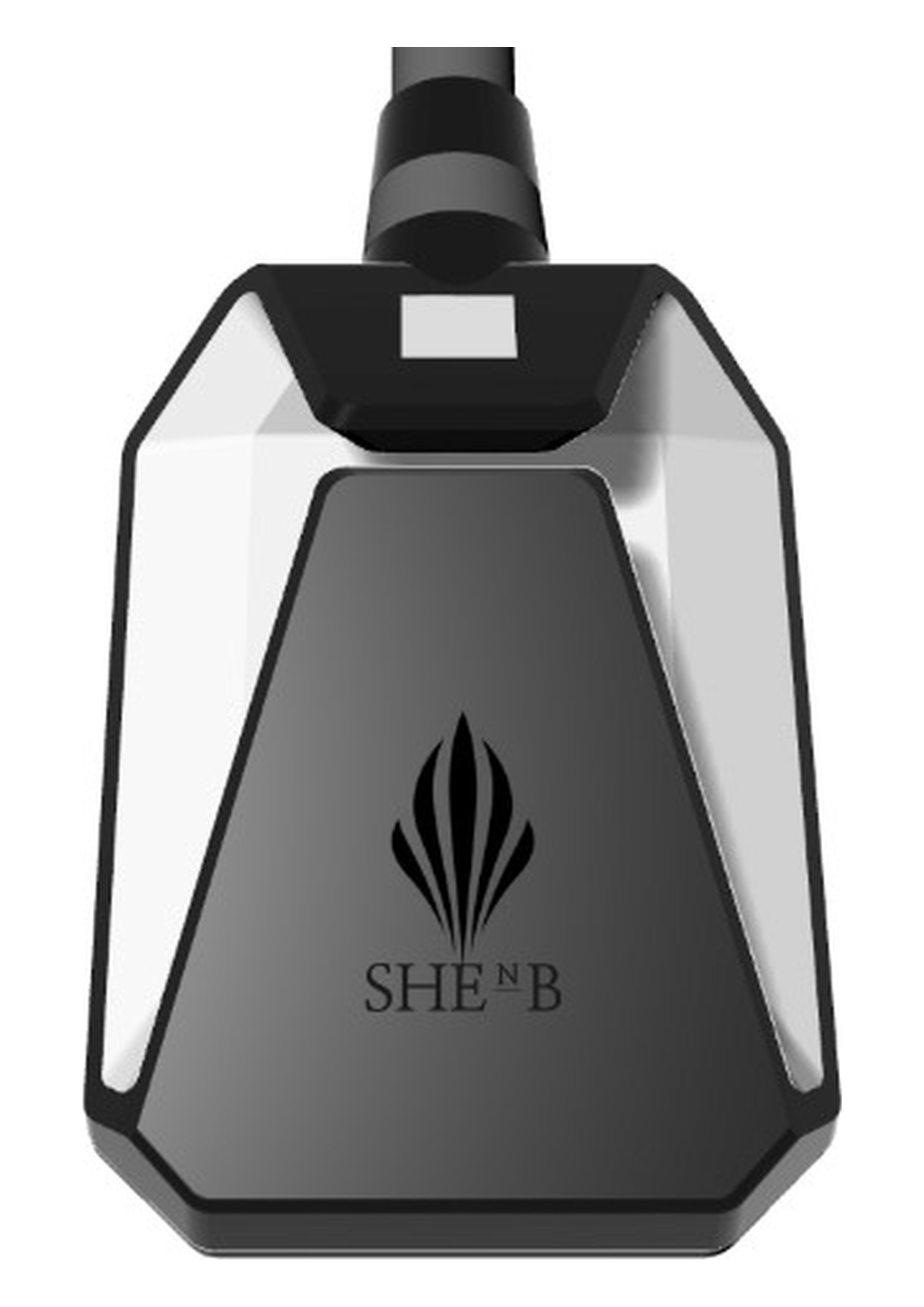 Magnetic Therapy Device_SHENB 상세 이미지